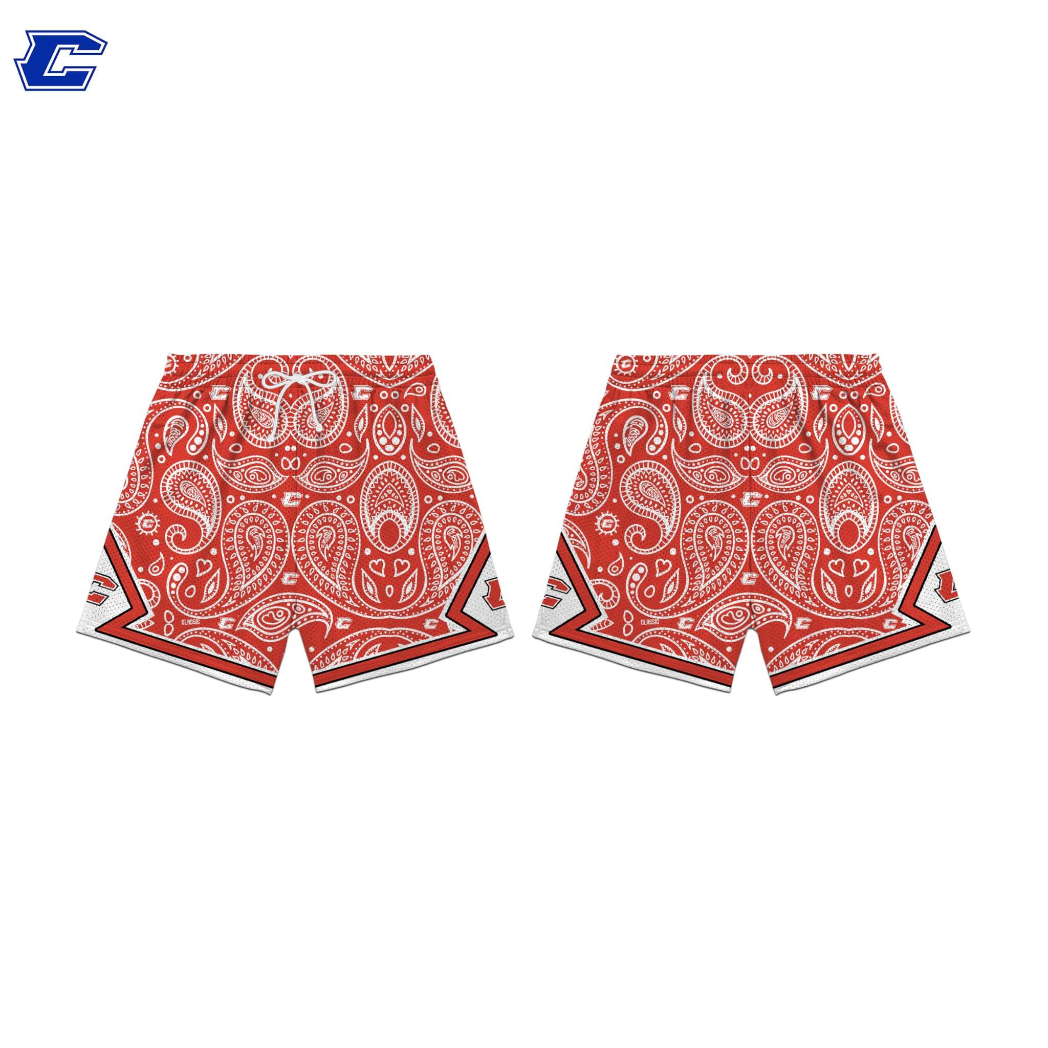 Bulls Paisley
